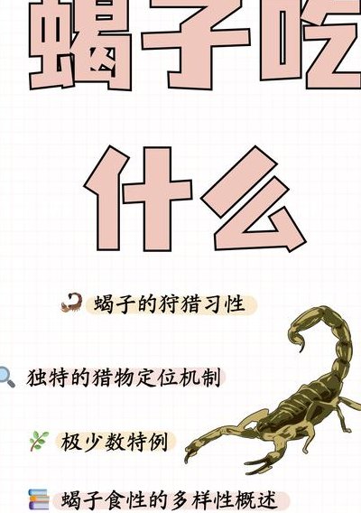 蝎子吃什么食物（蝎子吃什么食物如何喂养蝎子）