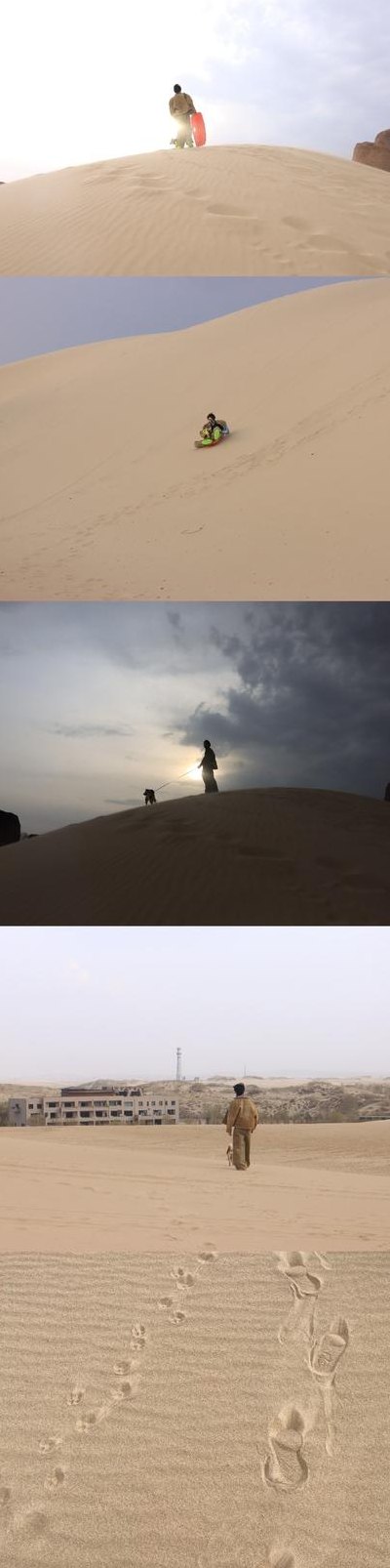 浪迹天涯的意思（浪迹天涯的意思帮我解释一下）