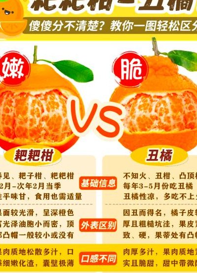 丑橘是转基因吗（丑橘是不是转基因）