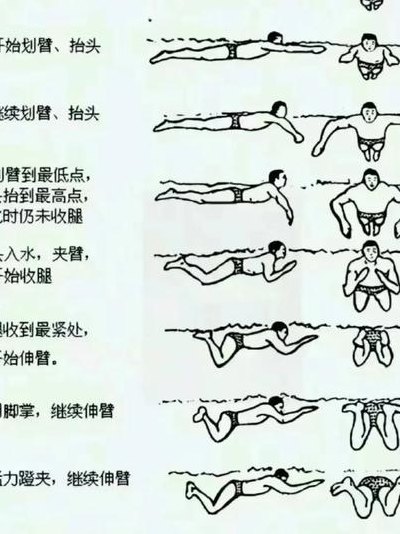 初学蛙泳的步骤（初学蛙泳的步骤视频教程）
