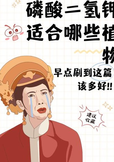 磷酸二氢钾适合哪些花（磷酸二氢钾适合哪些花怎样使用）
