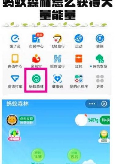 支付宝走路能量怎么开（蚂蚁森林如何开启步数能量）