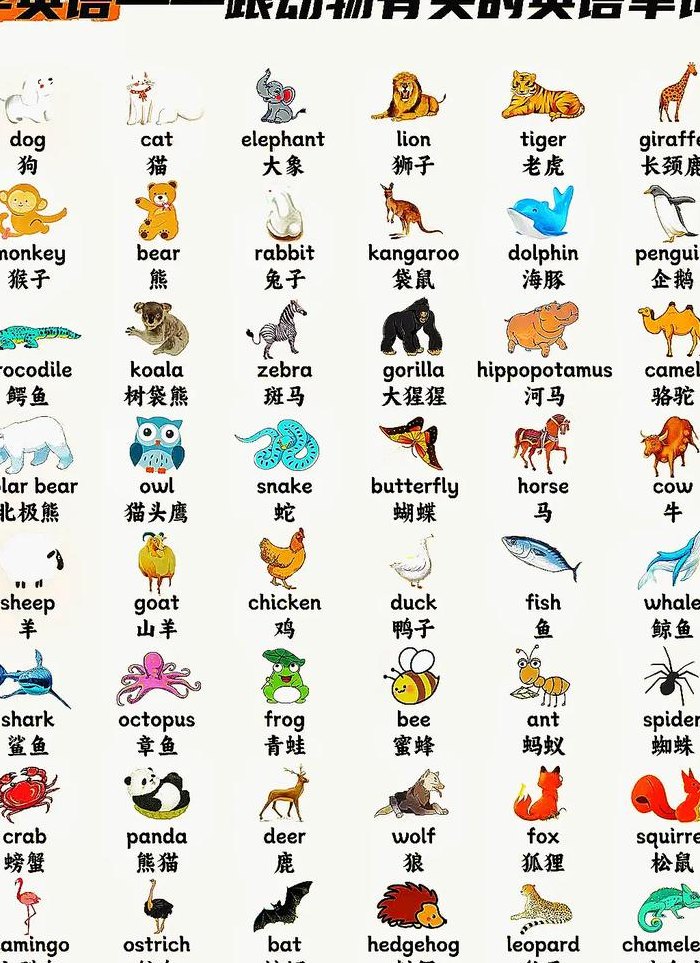 动物英语单词大全发音（动物英语单词大全跟读）