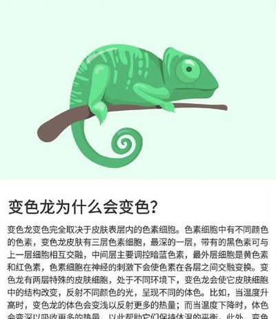 变色龙为什么会变色（变色龙为什么会变色简单明了回答）