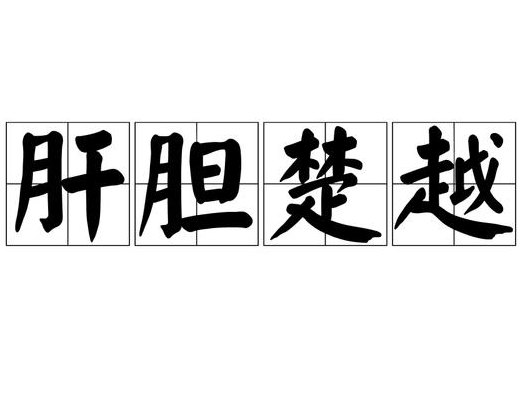 肝胆成语（包含肝胆的成语）