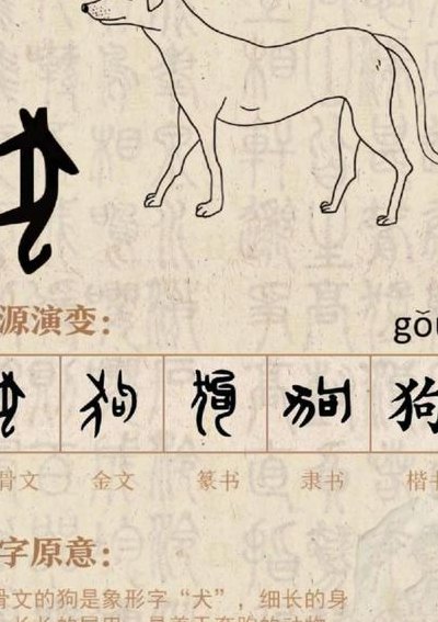 狗年古代叫什么年（狗年的叫法）