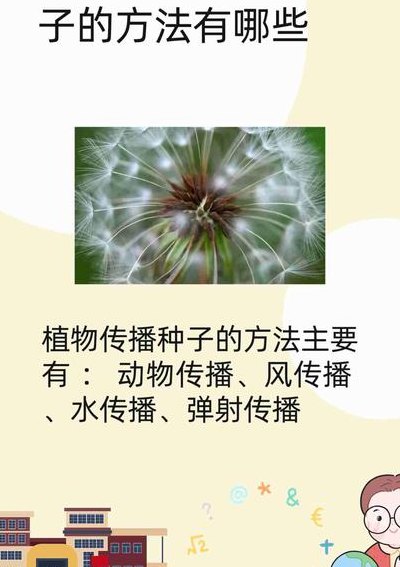 二年级植物传播种子的方法（二年级植物传播种子的方法图片）