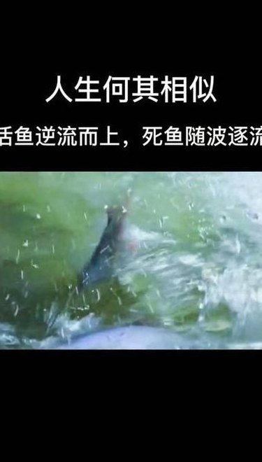 芸芸众生暗示什么（芸芸众生的下一句是什么）