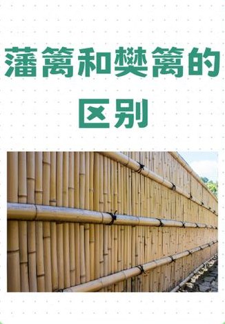 藩篱什么意思怎么读（藩篱念什么）