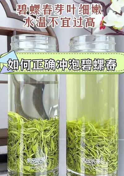 碧螺春怎样泡才好喝（碧螺春怎么泡?）