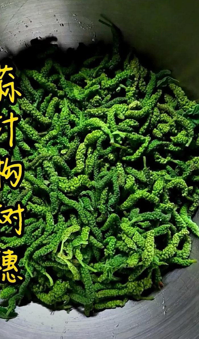 哪些人不适合吃构树穗（构树穗吃了会胖吗）