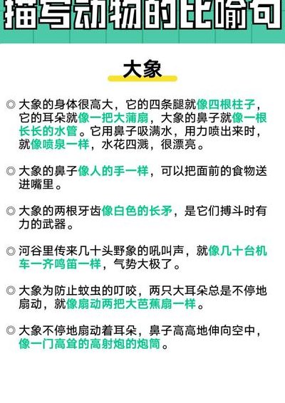 大象的耳朵像什么比喻（大象的耳朵像什么写比喻句）