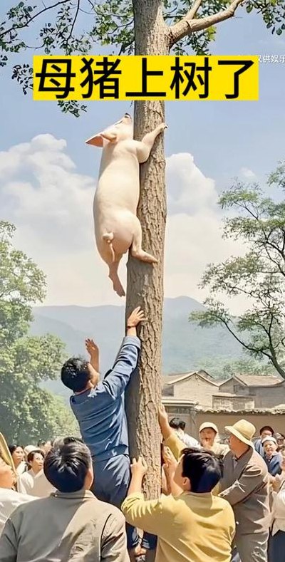 母猪上树打一生肖（母猪上树下一句是什么）