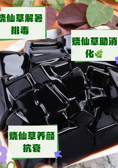 为什么叫烧仙草（十大仙草是哪10种）