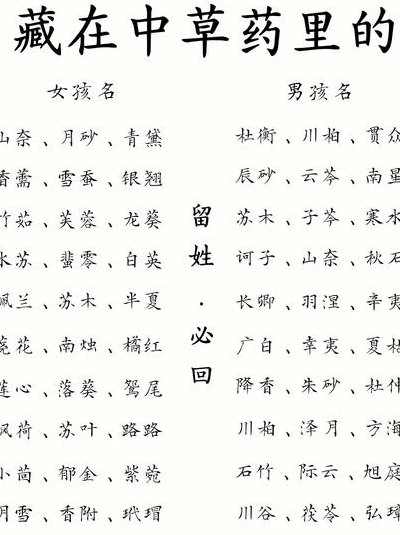 寓意最好的中草药名（寓意很好的中草药名）