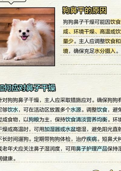 鼻子干燥怎么办最快最有效（狗狗鼻子干燥怎么办最快最有效）