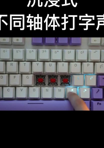 茶轴声音（茶轴声音好听吗）