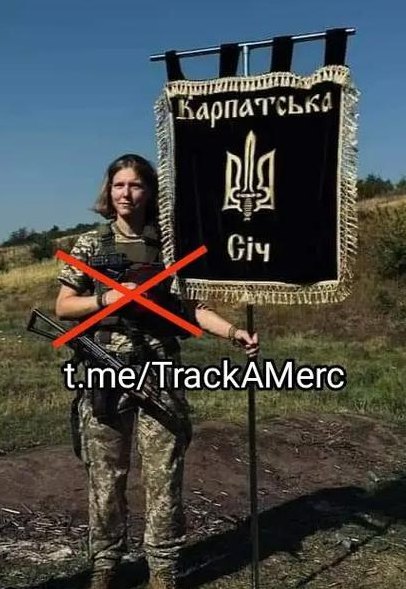 雇佣兵什么梗（网络用语雇佣兵啥意思）