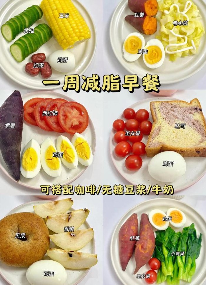 早上吃什么减肥最快（早上吃什么减肥最快减肚子脂肪）