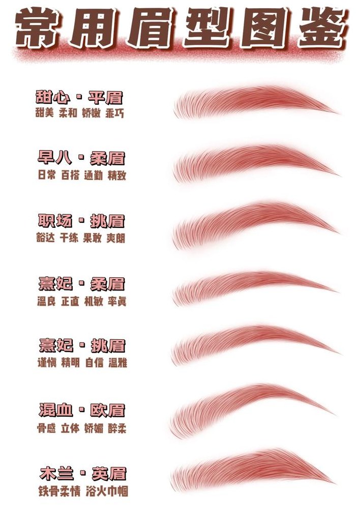 眉毛的种类（眉毛的种类图片）