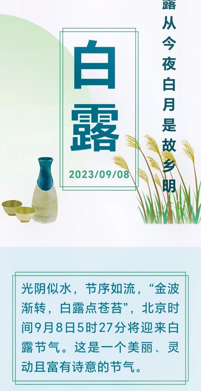 女人白露是什么意思呢（白露形容什么样的女生）