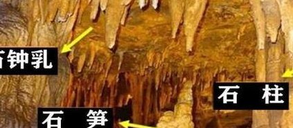石钟乳和石笋的图片（石钟乳和石笋的图片分别是什么）