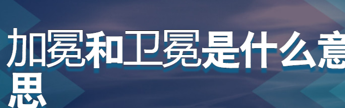 卫冕是啥意思网络用语（卫冕是什么意思冕的读音）