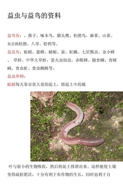 益虫有哪些益鸟（益虫益鸟有哪些分别有哪些作用）
