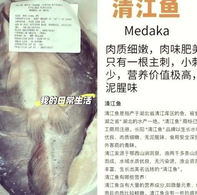 包含清江鱼多少钱一斤的词条