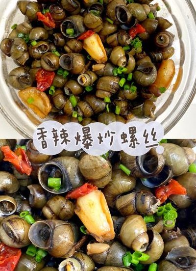 螺丝怎么炒好吃（螺丝怎么炒好吃视频教程）