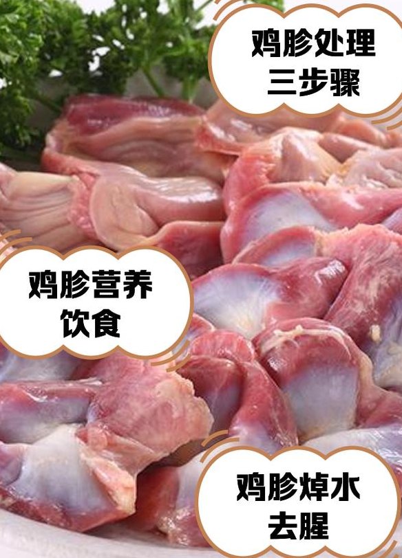 鸡胗是装鸡屎的部位吗（鸡胗就是）