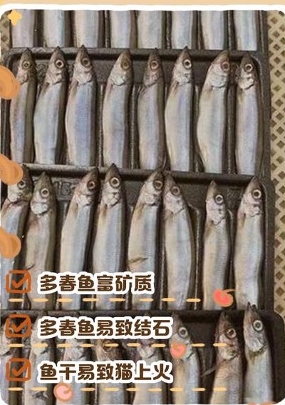 多春鱼是河鱼还是海鱼（为什么不建议吃多春鱼）
