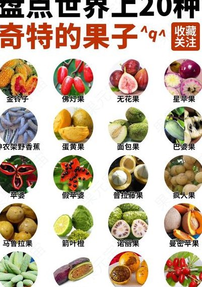 两个字的水果（最少见的水果）