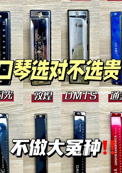 初学口琴选哪种口琴好（初学口琴选哪种口琴好24孔）