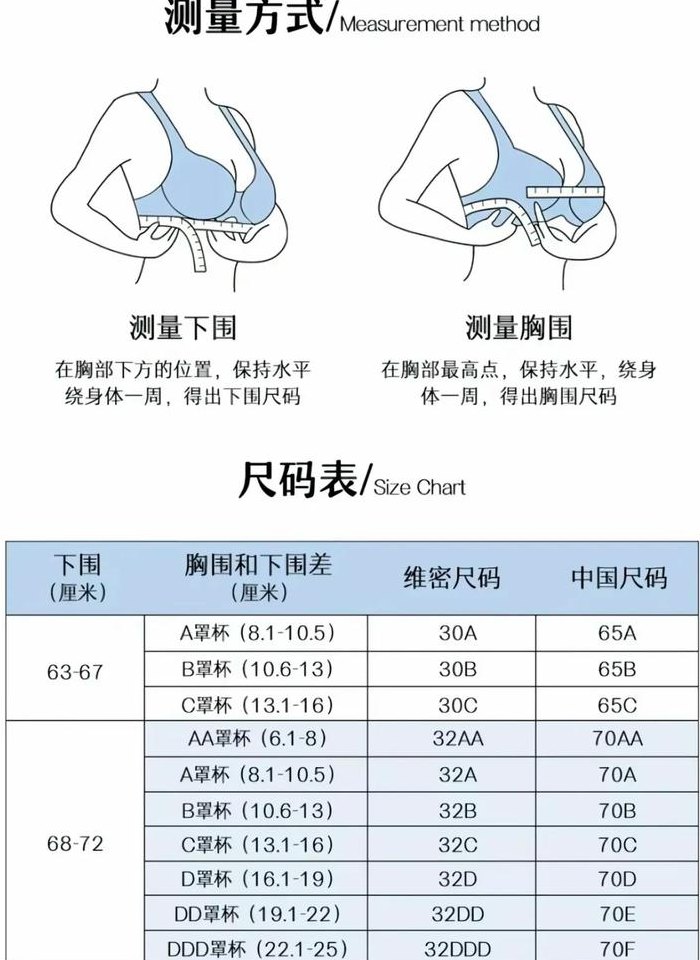 身体胸部尺寸对照表图女（胸部尺寸对比图）