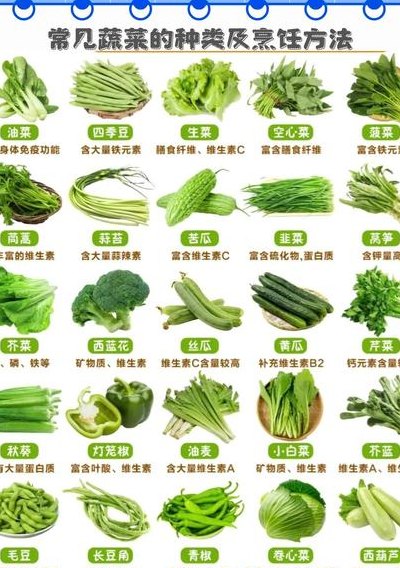 蔬菜功能对照表大全图（蔬菜种类及功效）