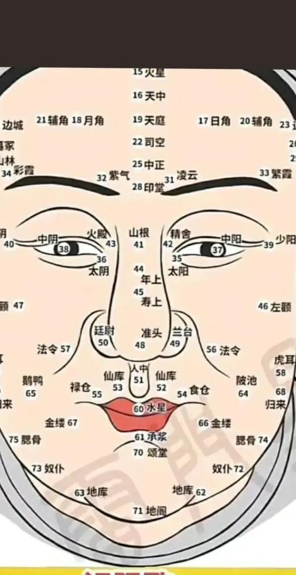 面相年龄对照表图男（面相年龄段分析）