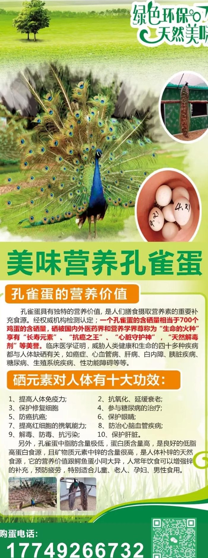 孔雀蛋能吃吗（孔雀蛋能吃吗犯法吗）