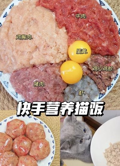自制猫粮怎么做（自制猫粮怎么做猫才爱吃）