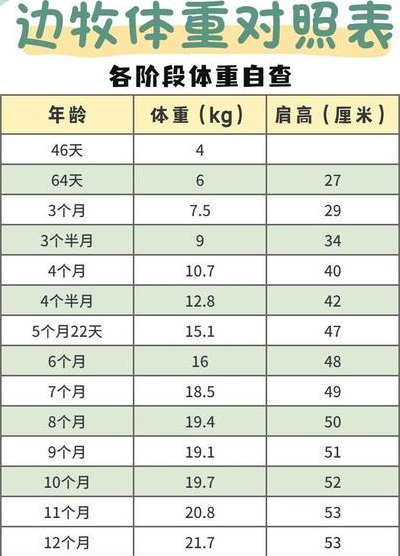 边牧大小体重对照表图（边牧的体重标准表）