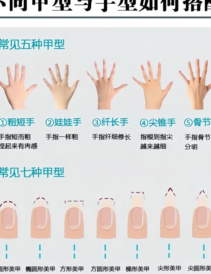 手型指甲型号对照表图（手指甲形状怎么矫正）
