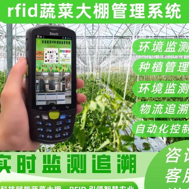 大棚蔬菜种植技术（大棚蔬菜种植技术与管理的软件）