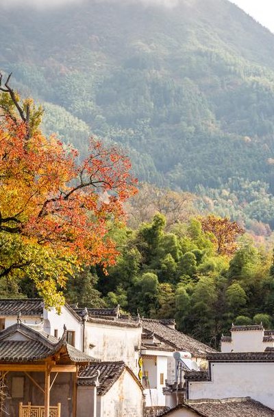 塔川在哪里（塔川值得去吗）