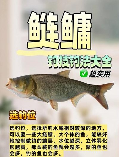 花鲢怎么钓（花鲢怎么钓最佳又最快）