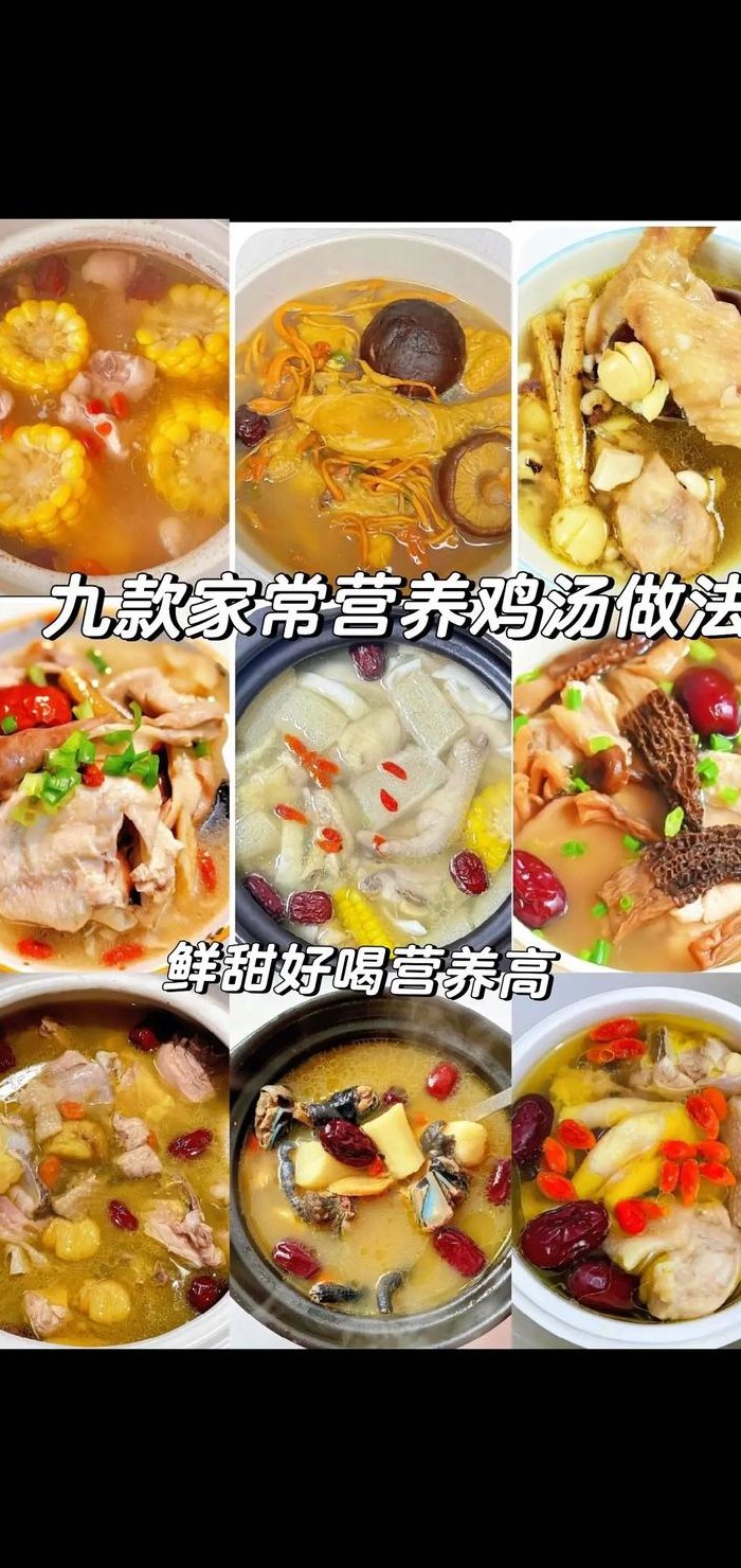 鸡汤放什么炖好喝又营养（鸡汤放什么炖比较好）