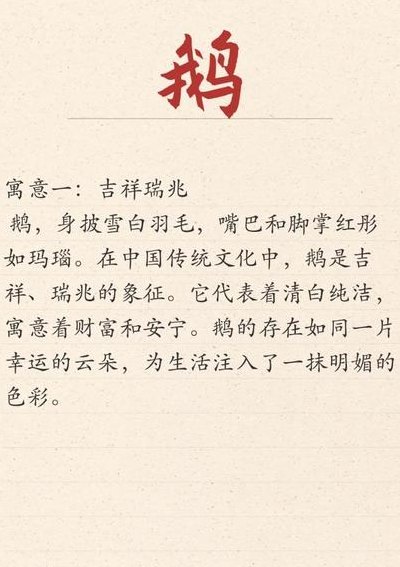 天鹅寓意（天鹅寓意代表什么意思）
