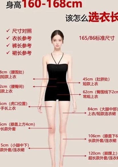 正常肩宽与胯宽对照表图（正常肩宽标准对照表）