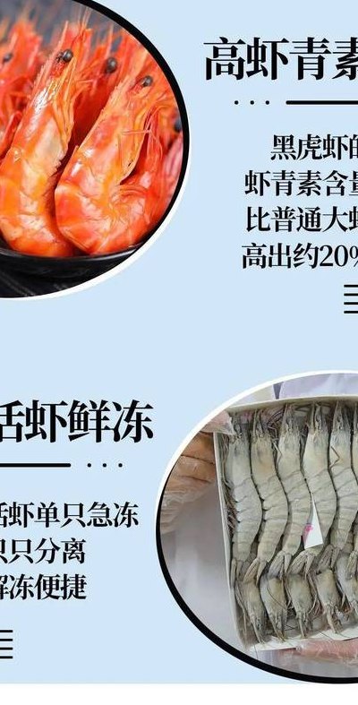 黑虎虾价格对照表图（黑虎虾介绍 百科）