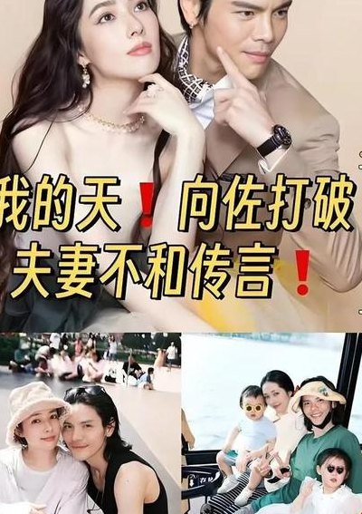 向佐郭碧婷（向佐郭碧婷离婚了嘛）