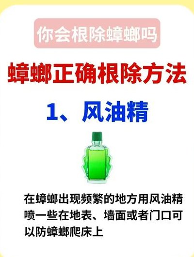 怎么除蟑螂最有效（如何除掉蟑螂的方法）
